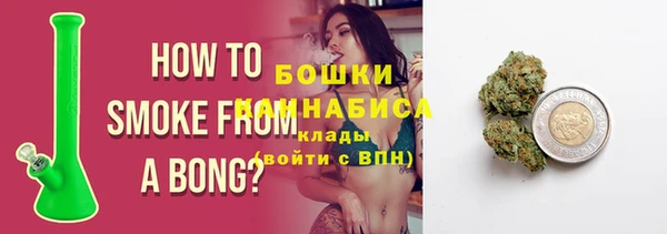 спайс Богданович
