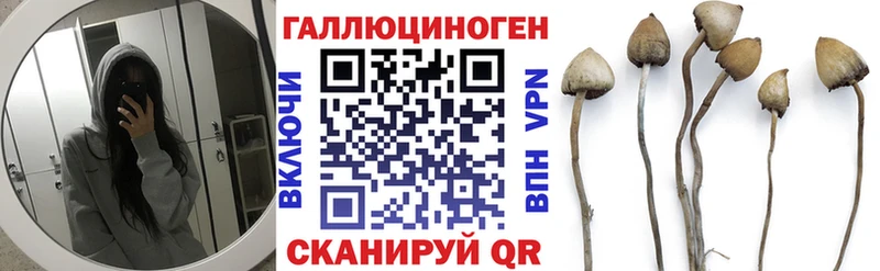 МЕГА   мориарти какой сайт  Псилоцибиновые грибы мухоморы  Мценск 
